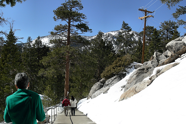 Dora on the Trail.jpg