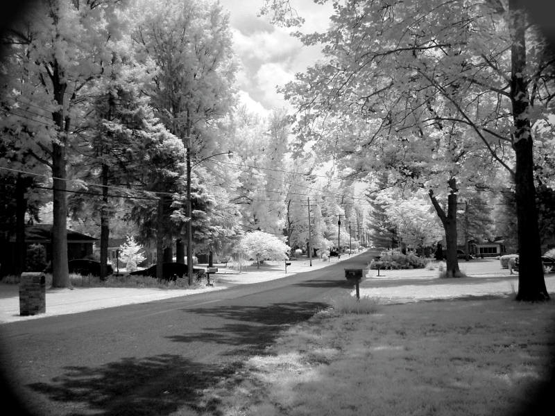 Harmon Dr. Lebanon, IL .jpg
