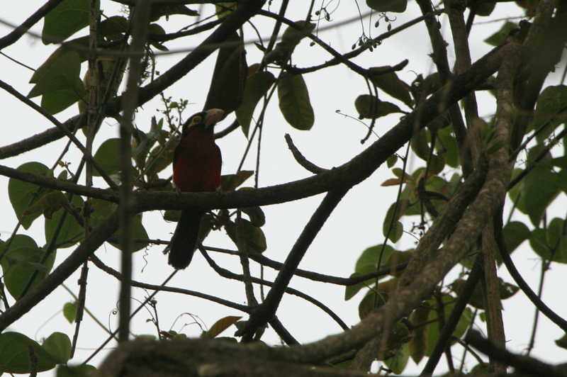 IMG_4924b.jpg