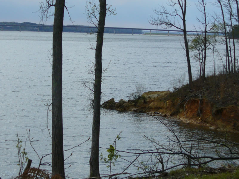 P1010553.jpg