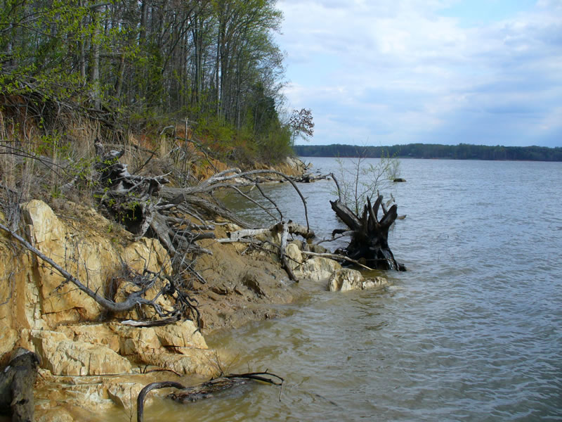 P1010563.jpg