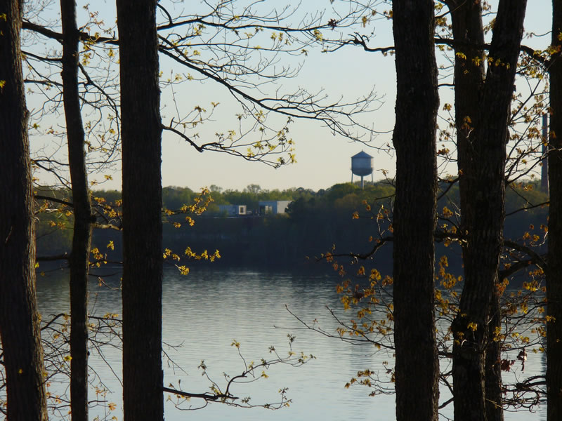 P1010661.jpg