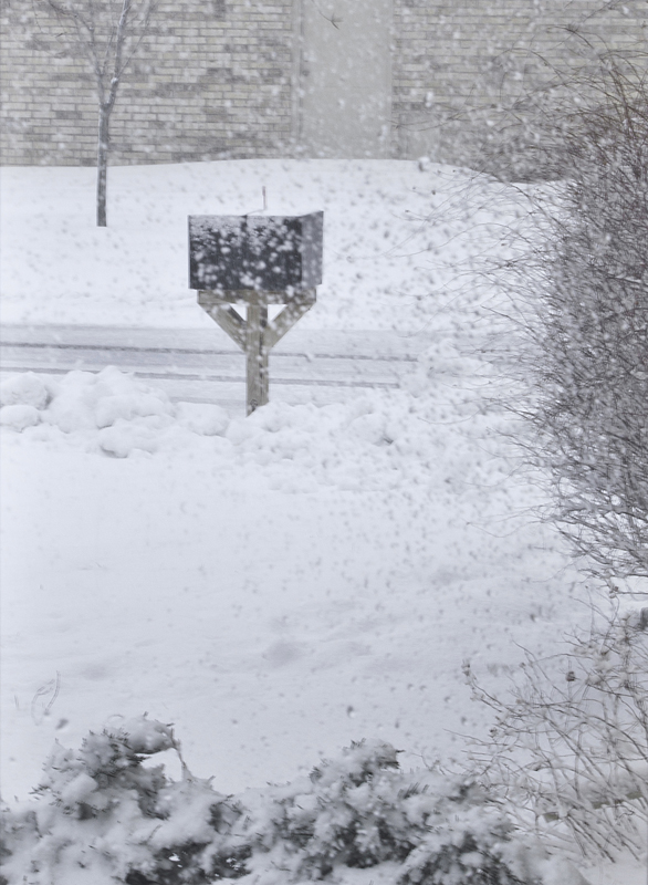 Snow day