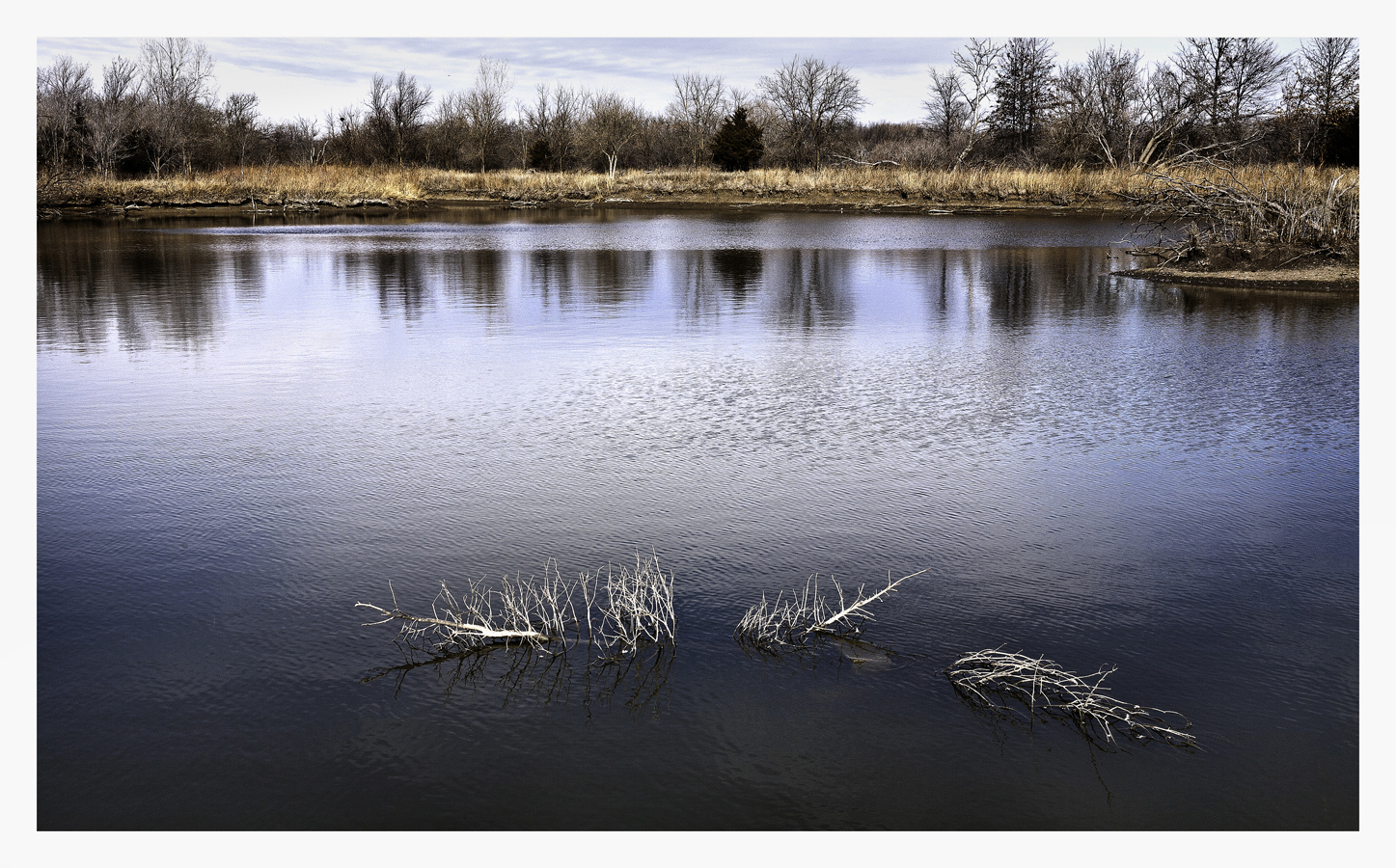Beautiful winter day
