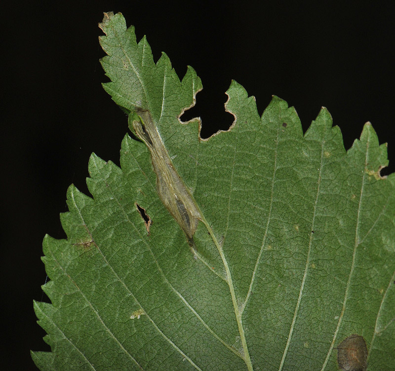 sep2010  055.jpg
