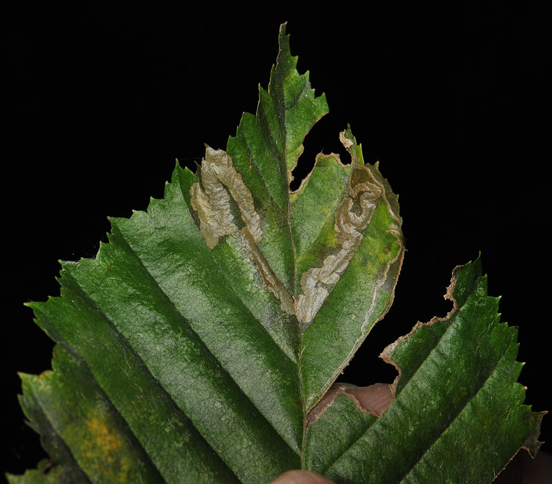 sep2010  136.jpg