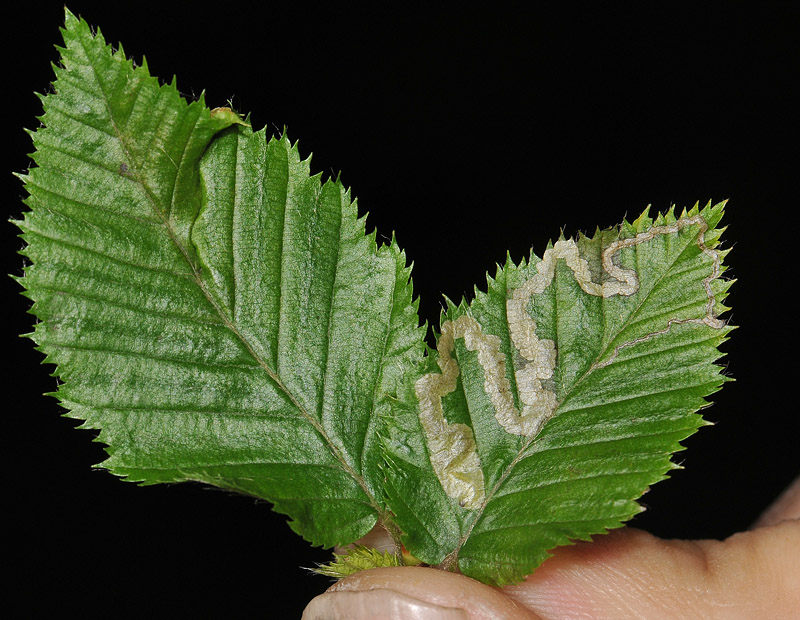 sep2010  156.jpg