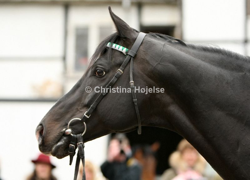 9748a.jpg (Fly Society)