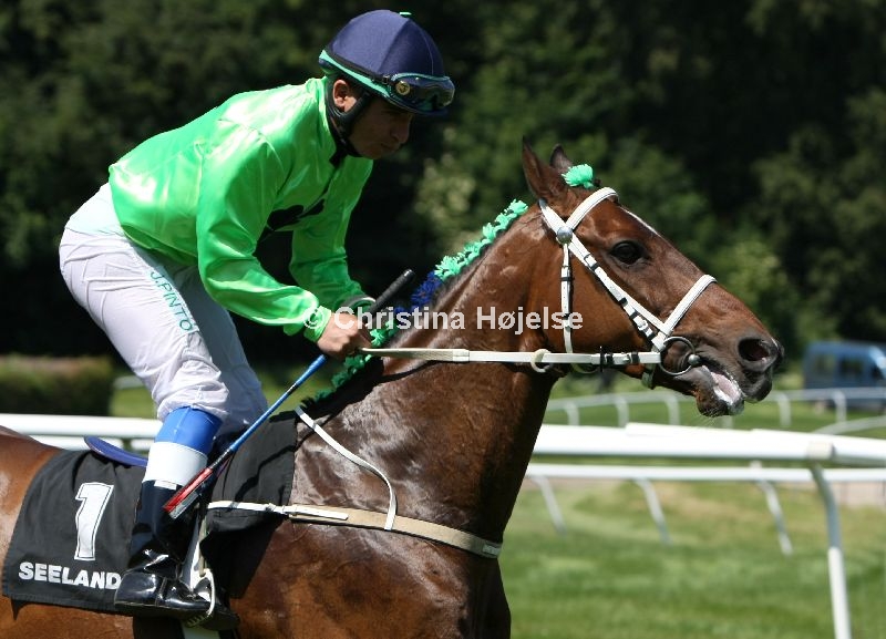 0941d.jpg (Bologne)