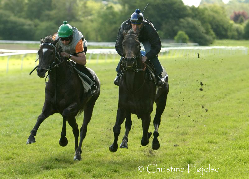 0637g.jpg (Dan Tucket & Reventon)
