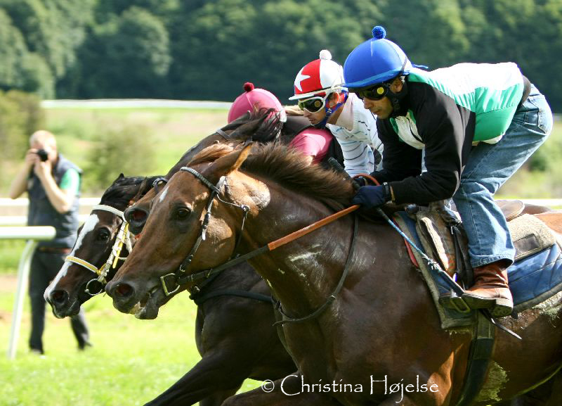 0697g.jpg (His Highness)