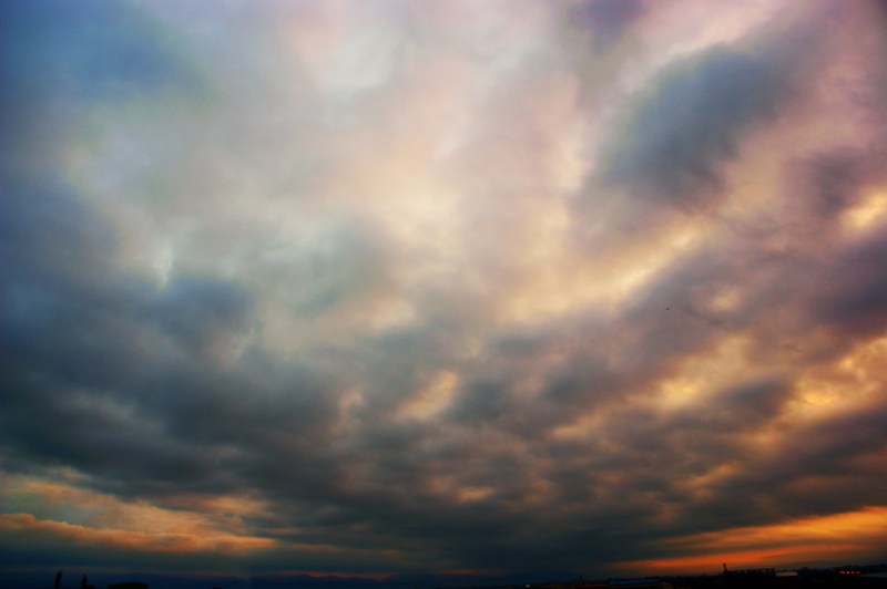 DSC05341.JPG