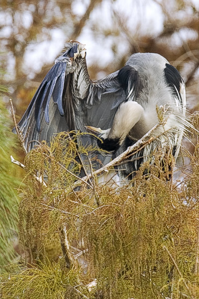 GBH Hard to Reach Places