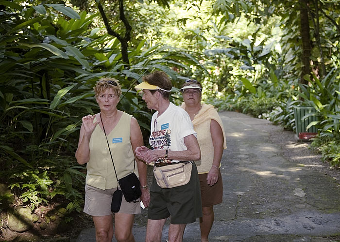 Garden tour