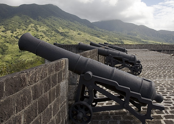 Canon battery