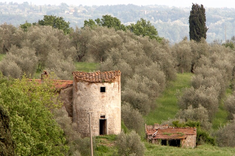Castle Life