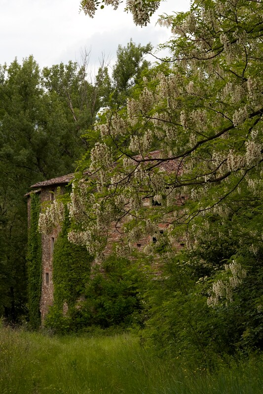 Castle Life