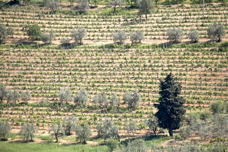 San Gimignano