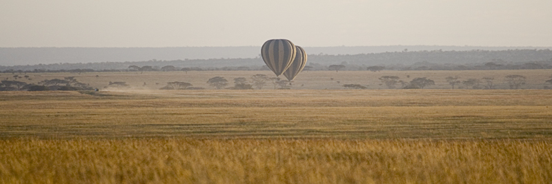 Early morning balloon ride