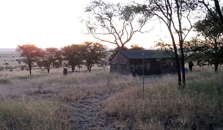Camp at dawn
