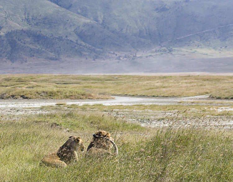 King and Queen of NgoroNgoro