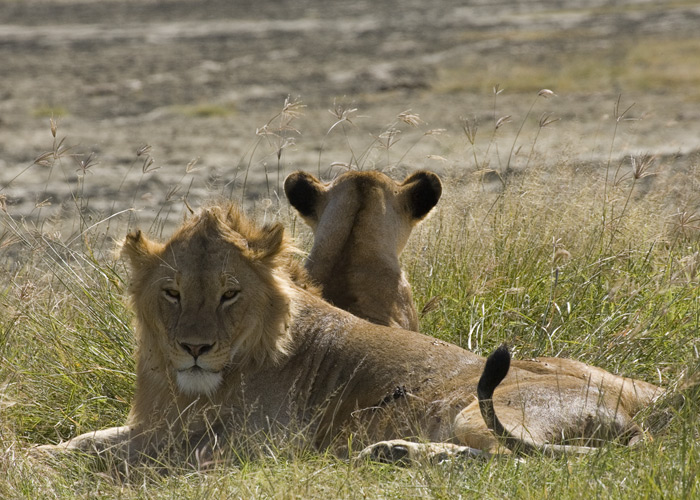 Female on alert