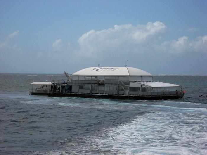 Leaving the Reef