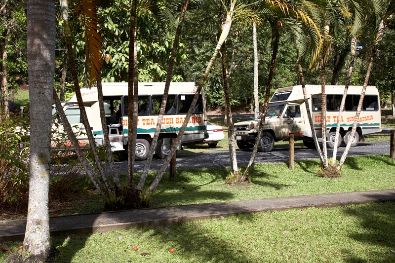 Billy Tea Trucks