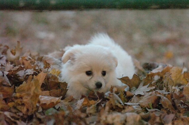 Nov22_05_240.JPG
