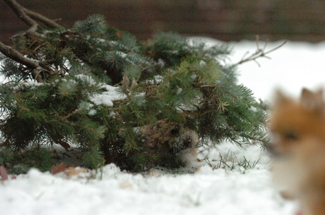 Nov26_05_880.JPG
