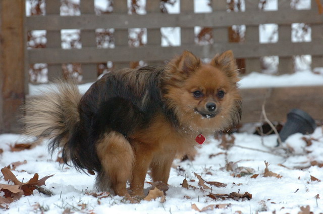 Dec3_05_006.JPG