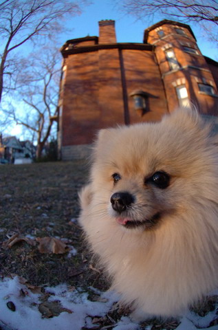 Dec7f_05_048.JPG