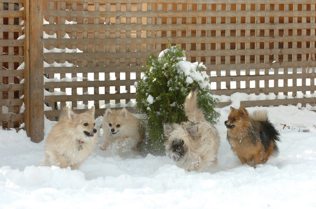 Dec9_05_0326.JPG