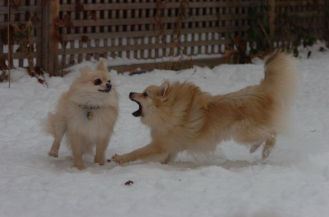 Dec18_05_453.JPG