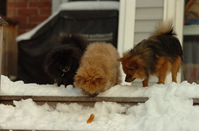 Dec18_05_270.JPG