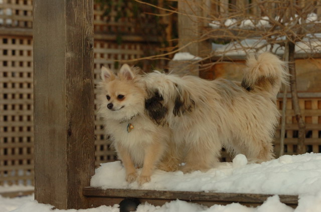 Dec18_05_275.JPG