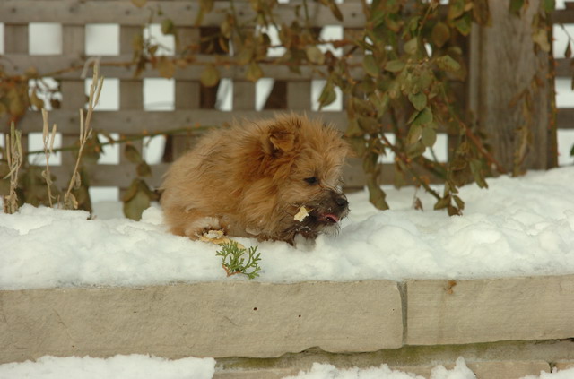 Dec18_05_342.JPG