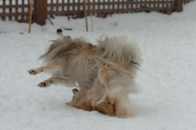 Dec18_05_037.JPG