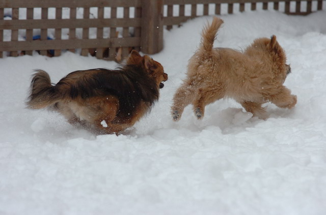 Dec18_05_076.JPG