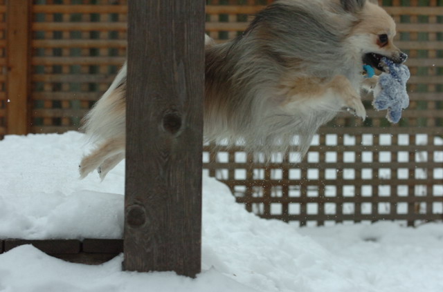 Dec18_05_083.JPG