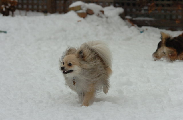 Dec18_05_087.JPG