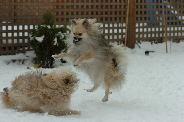 Dec18_05_118.JPG