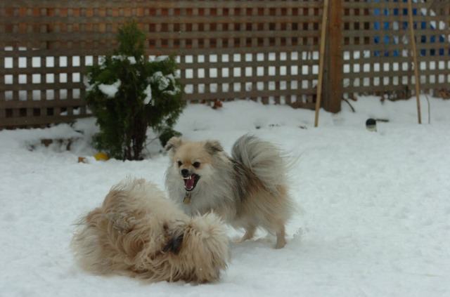 Dec18_05_120.JPG