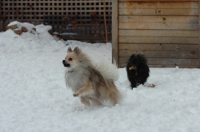 Dec18_05_130.JPG