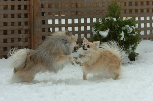 Dec18_05_137.JPG