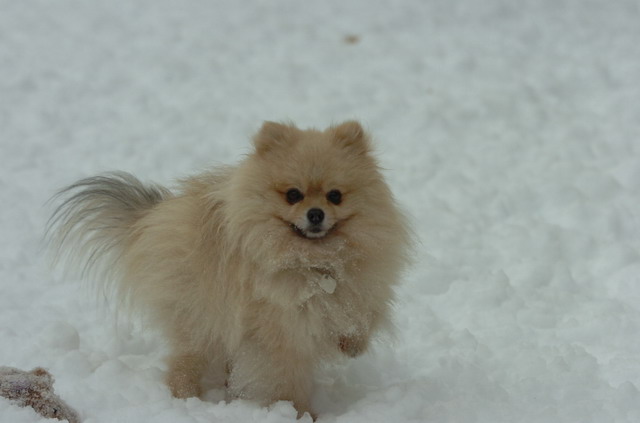 Dec18_05_138.JPG