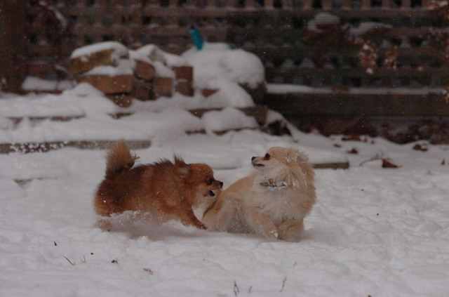 Dec31_05_473.JPG