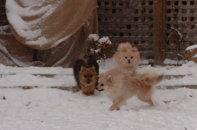 Dec31_05_514.JPG