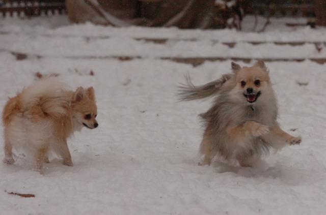 Dec31_05_528.JPG