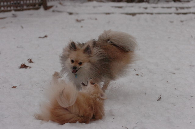Dec31_05_534.JPG
